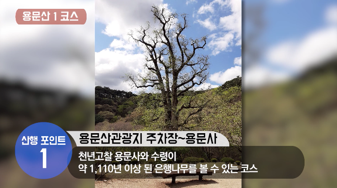 스크린샷 2020-06-01 오후 5.58.46.png