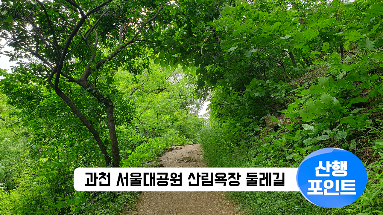 산행포인트_썸네일_89서울대공원산림욕장둘레길.jpg